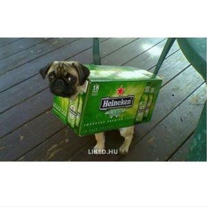 Meet your Posher, Sai kiran reddy